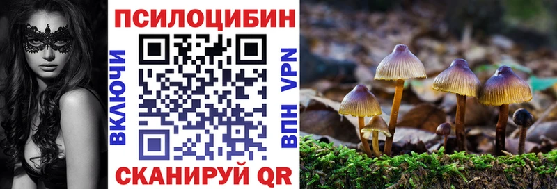 блэк спрут ТОР  Верхнеуральск  darknet какой сайт  Псилоцибиновые грибы GOLDEN TEACHER 
